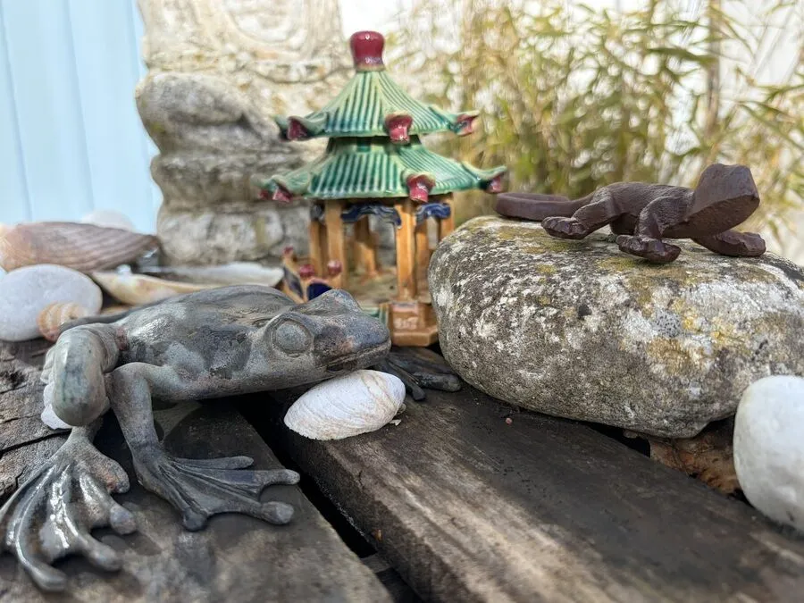 tarifs voyance Oléron