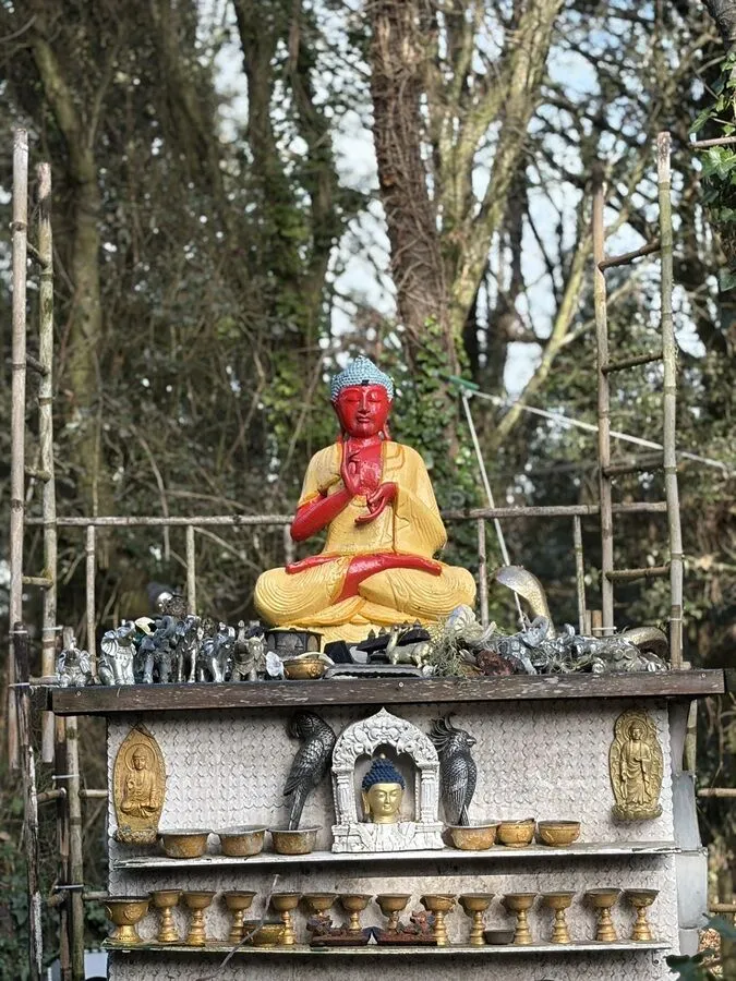 contact médium Dolus d'Oléron